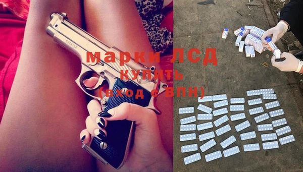 шишки Новозыбков