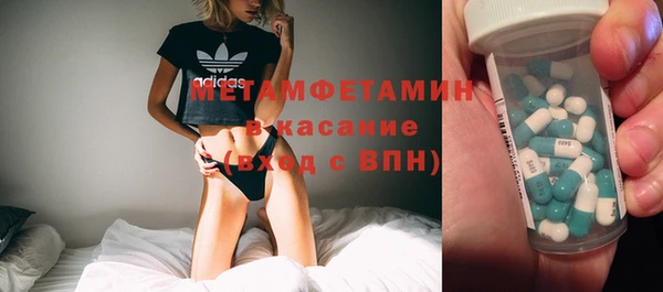молекула духа Болотное