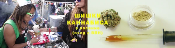 шишки Новозыбков