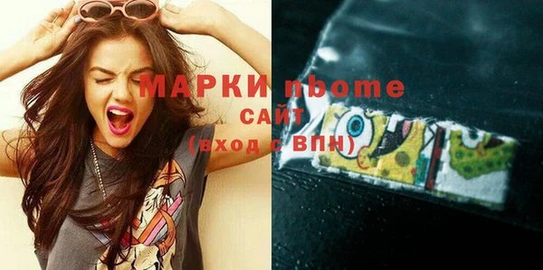 шишки Новозыбков