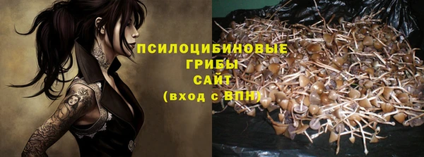 2c-b Новодвинск