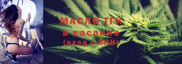 шишки Новозыбков