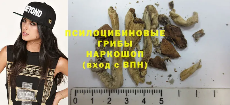 Галлюциногенные грибы MAGIC MUSHROOMS  что такое наркотик  Алексеевка 