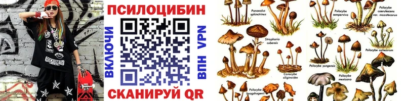 что такое Алексеевка Псилоцибиновые грибы ЛСД