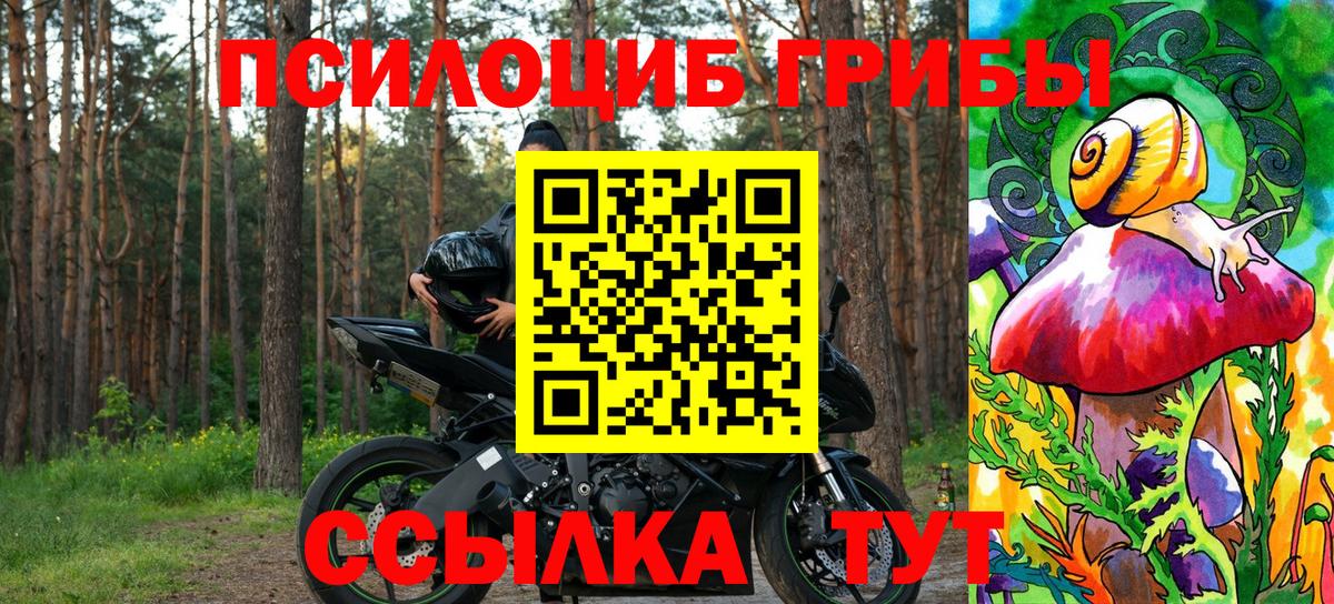 Галлюциногенные грибы Psilocybe  Алексеевка 