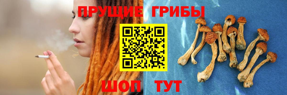 Псилоцибиновые грибы мицелий Алексеевка