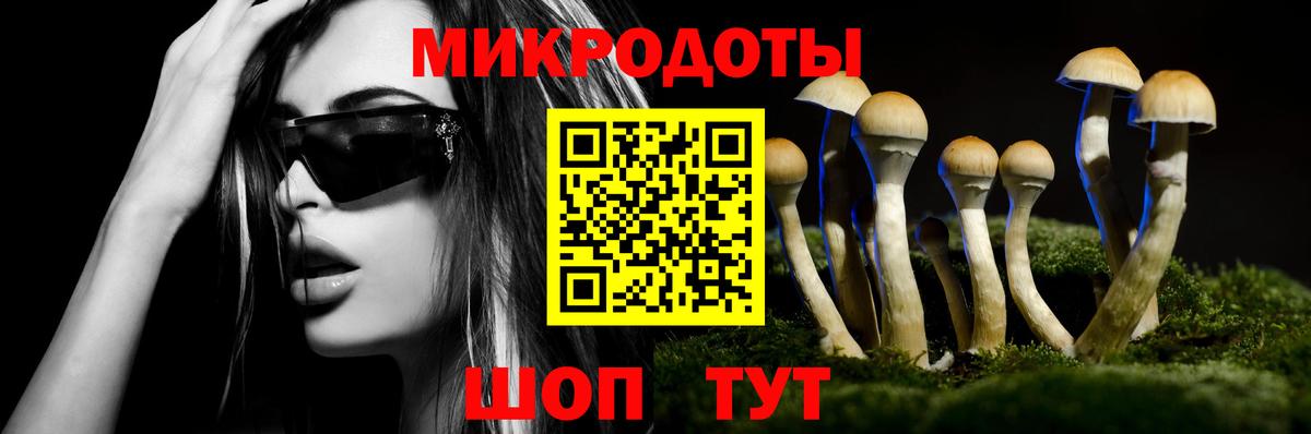Алексеевка  Галлюциногенные грибы Magic Shrooms  Вход с VPN 