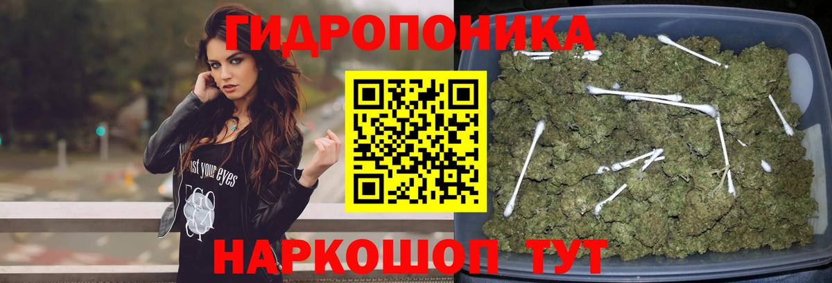 Бошки марихуана ГИДРОПОН Алексеевка