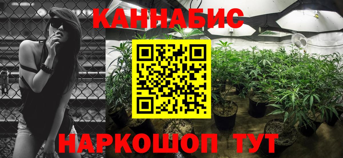 Алексеевка  Канабис ГИДРОПОН  Бошки Шишки гибрид  Вход с VPN  Канабис OG Kush 